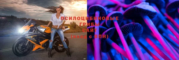 ALPHA PVP Горнозаводск