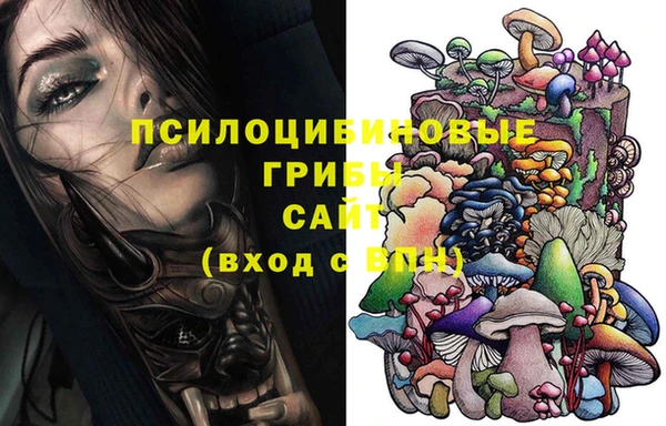 ALPHA PVP Горнозаводск